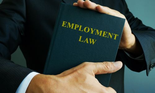 Employment Lawyer